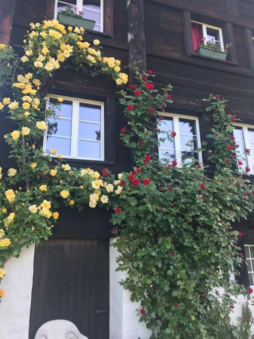 Eschenbach Charming Alps Apartment Perfect For Walk/Cycle/Ski מראה חיצוני תמונה